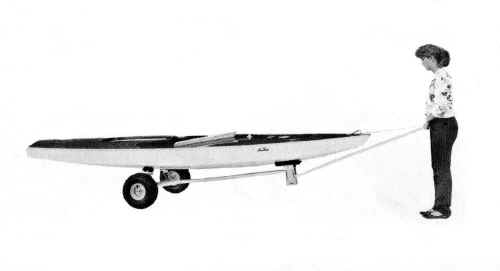 Trailex Trolley Dolly with Sunfish Sailboat
